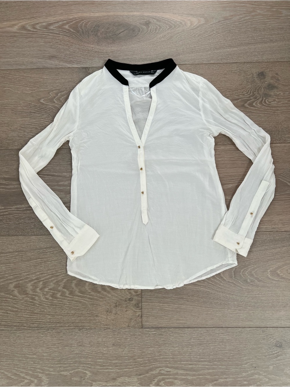 Zara Sheer Button-Down Blouse